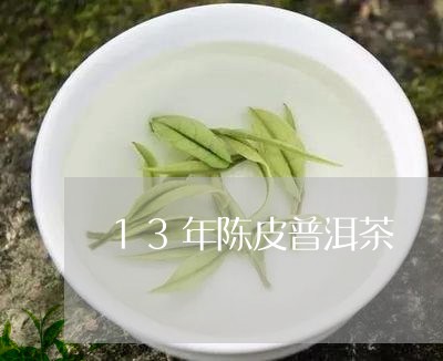 13年陈皮普洱茶/2023041093158