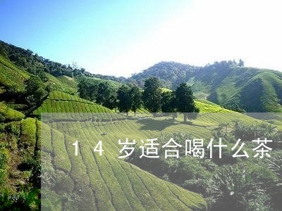 14岁适合喝什么茶/2023041558380