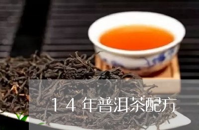 14年普洱茶配方/2023041086949