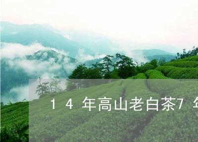 14年高山老白茶7年陈藏/2023033131495