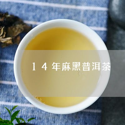 14年麻黑普洱茶/2023041119581