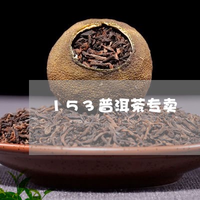 153普洱茶专卖/2023041199160