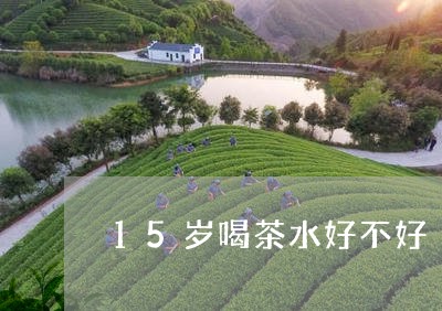 15岁喝茶水好不好/2023041682726