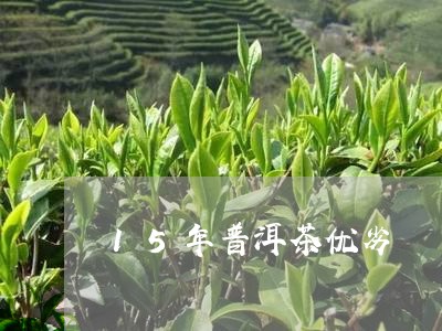 15年普洱茶优劣/2023041061594