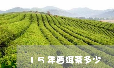 15年普洱茶多少/2023031729380