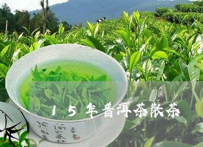 15年普洱茶散茶/2023041142516