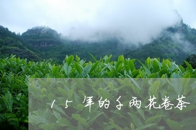 15年的千两花卷茶/2023041652715