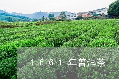 1661年普洱茶/2023041057370