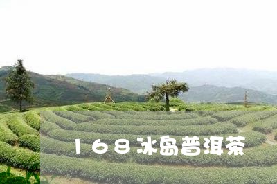 168冰岛普洱茶/2023031744814