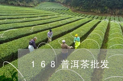 168普洱茶批发/2023041112817