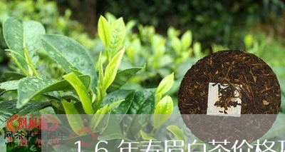 16年寿眉白茶价格及图片/2023033131793