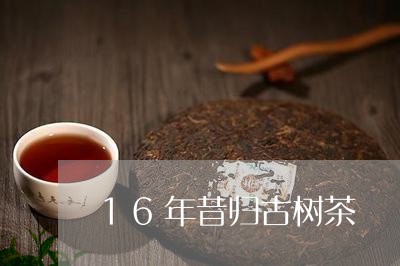 16年昔归古树茶/2023032547350