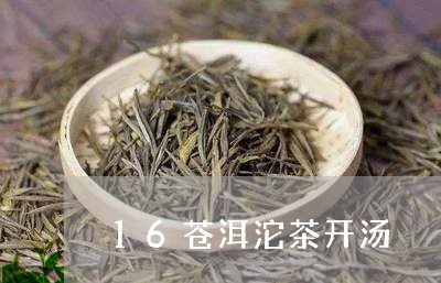 16苍洱沱茶开汤/2023032494736