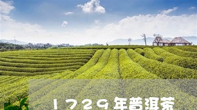 1729年普洱茶/2023041043946