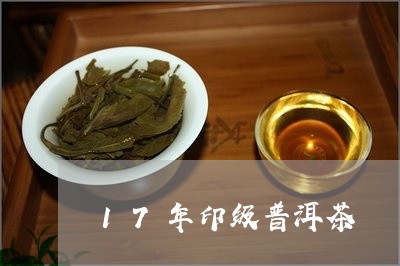 17年印级普洱茶/2023031758471