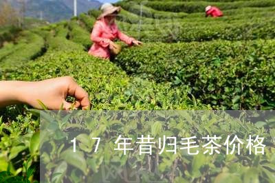 17年昔归毛茶价格/2023031897369