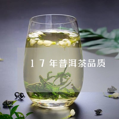 17年普洱茶品质/2023041090502