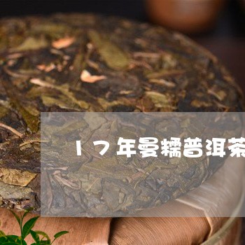 17年曼糯普洱茶/2023040179485