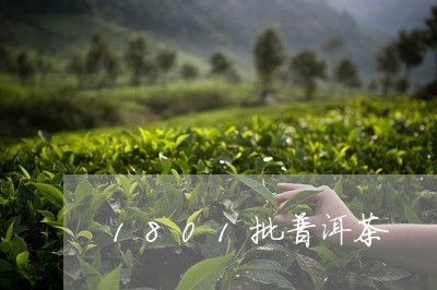 1801批普洱茶/2023041128592