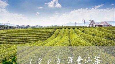 1808年普洱茶/2023041099691