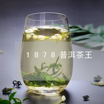 1878普洱茶王/2023041005137