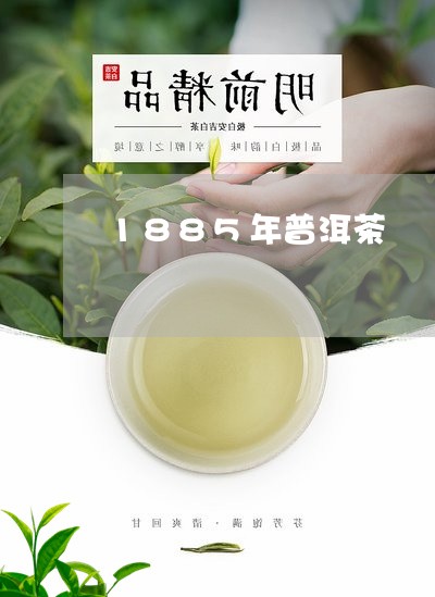 1885年普洱茶/2023031661484