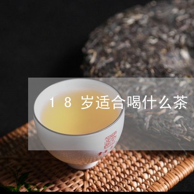 18岁适合喝什么茶/2023041548471