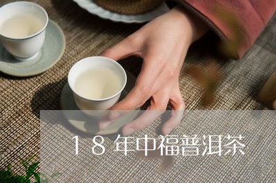 18年中福普洱茶/2023033126269