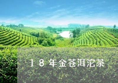 18年金苍洱沱茶/2023032405048