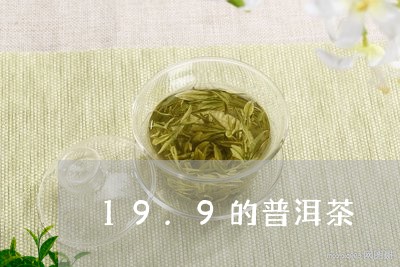 19.9的普洱茶/2023041053726