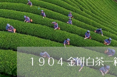 1904金饼白茶一箱多少/2023033139814