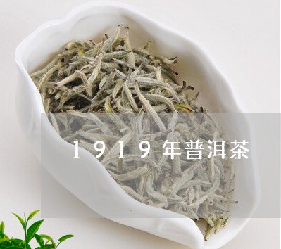 1919年普洱茶/2023041088381