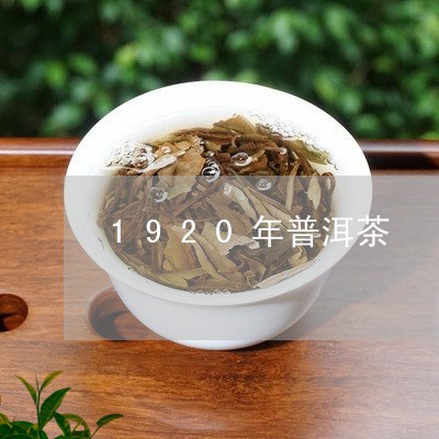 1920年普洱茶/2023041055947