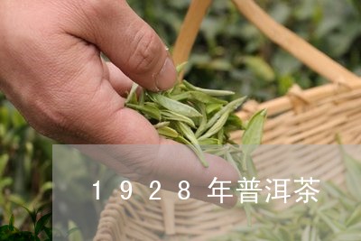 1928年普洱茶/2023031641712