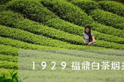 1929福鼎白茶烟多少钱/2023033010483