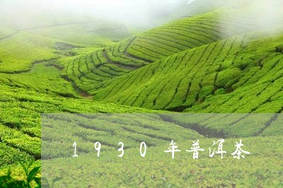 1930年普洱茶/2023031616068