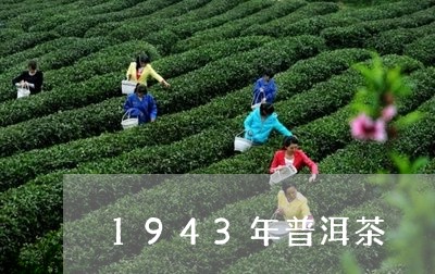 1943年普洱茶/2023041090694