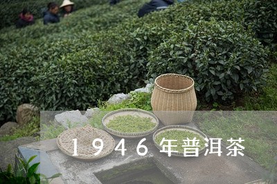 1946年普洱茶/2023041219471