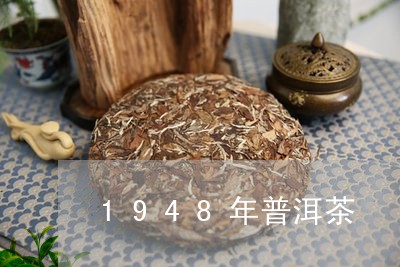 1948年普洱茶/2023041029572