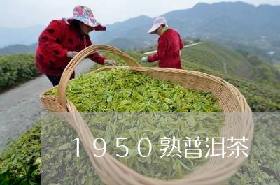 1950熟普洱茶/2023041090794