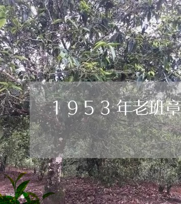 1953年老班章/2023032953039