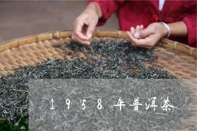 1958年普洱茶/2023041058614