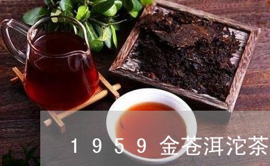 1959金苍洱沱茶/2023041604160