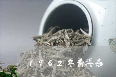 1962年普洱茶/2023031724139