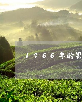 1966年的黑砖茶/2023041656060