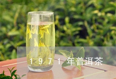 1971年普洱茶/2023041202829