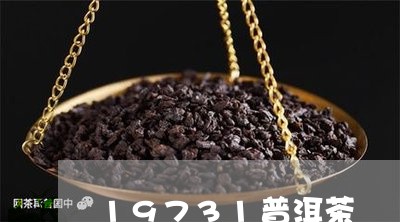 19731普洱茶/2023031738794