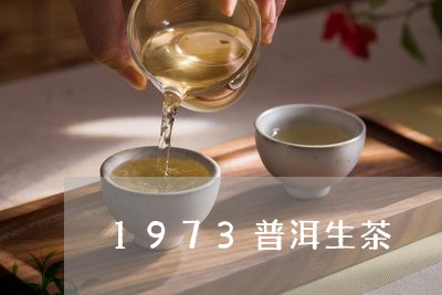 1973普洱生茶/2023032976261