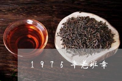 1975年老班章/2023032830683