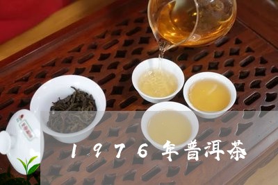 1976年普洱茶/2023041284140